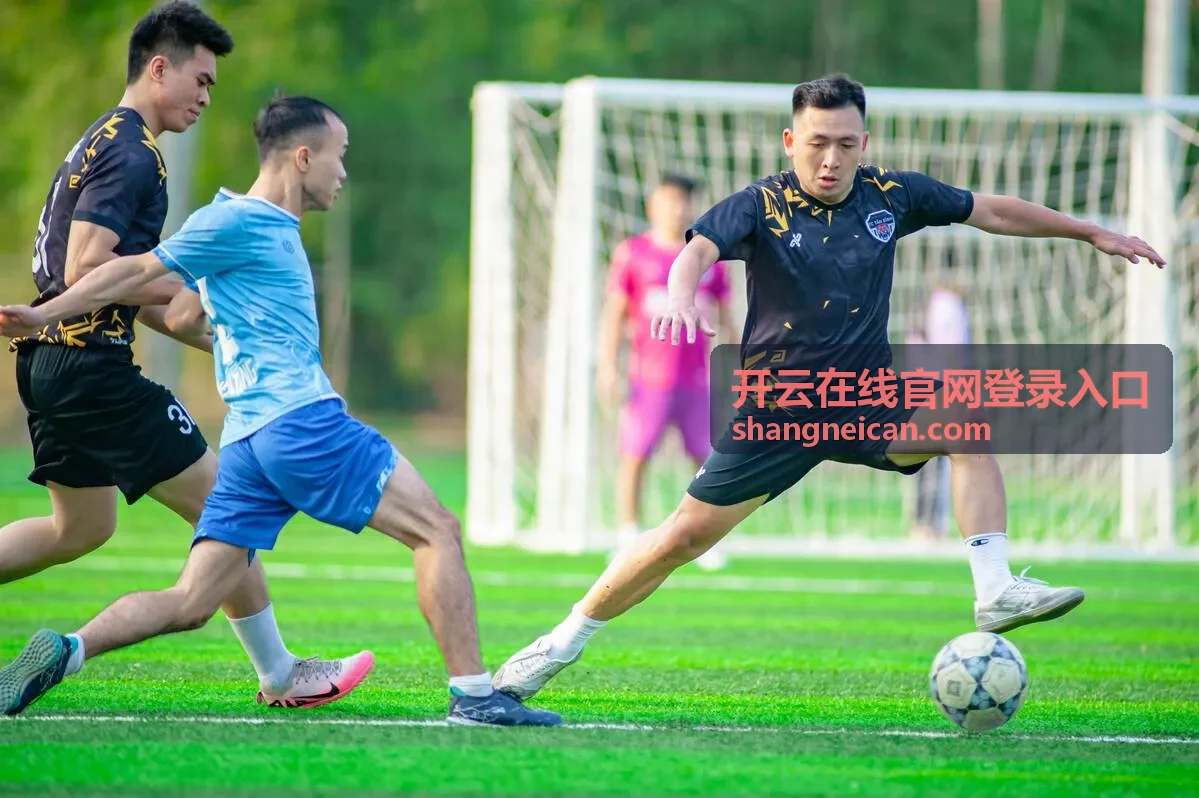 开云在线官网登录入口入口地址确认场景示意